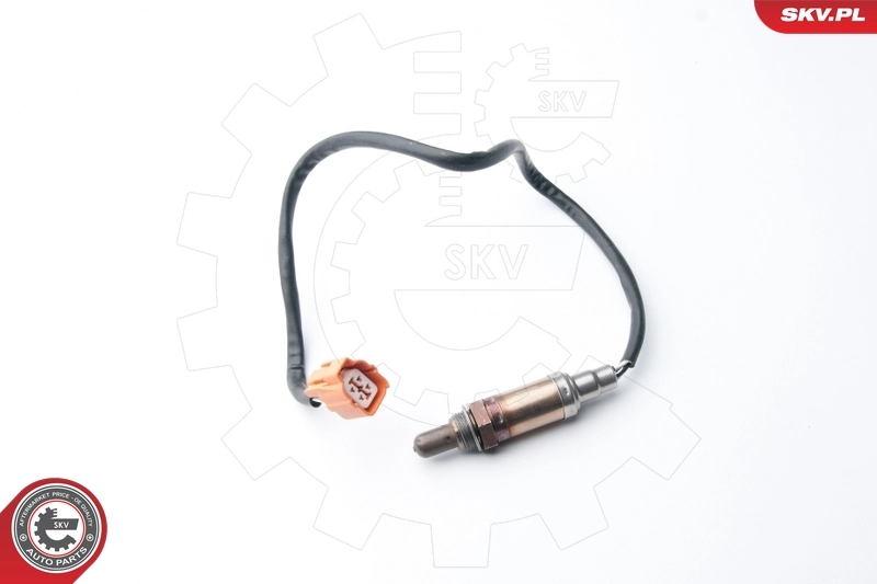 Oxygen Sensor